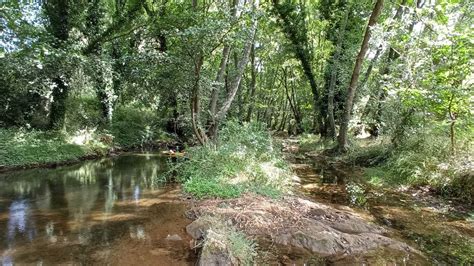 sendero molino del corcho|Ruta Sendero Molino del Corcho